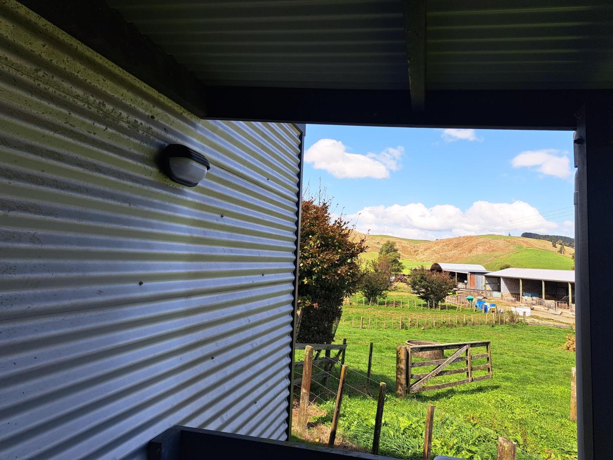 Crinkly Cottage Te Kuiti Buitenkant foto